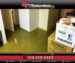 Flooded Basement Miami