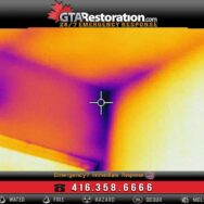 Infrared Water Leak Detection Richmound Hill