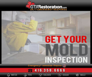 Mold Inspector Miami, Mold Inspector, Miami Mold Inspection,