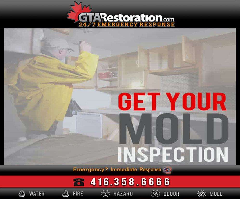 Miami Mold Inspections