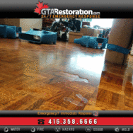 Water Damage Company in Miami Ready 24 Hours