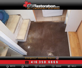 Water Damage and Flood Repair in Scarborough