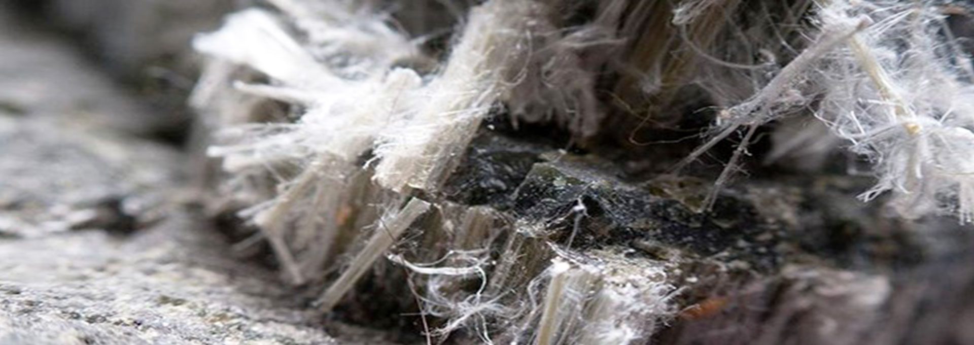asbestos removal Fort Lauderdale, asbestos inspection Fort Lauderdale, asbestos cleanup Fort Lauderdale, asbestos test Fort Lauderdale, asbestos remediation Fort Lauderdale, asbestos testing Fort Lauderdale, mildew removal Fort Lauderdale, mildew inspection Fort Lauderdale, mildew cleanup Fort Lauderdale,