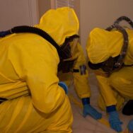 miami biohazard cleaners