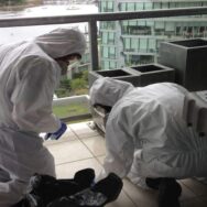 Miami Condominium Biohazard Cleanup