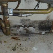 Mold Removal Remediation in Aurora