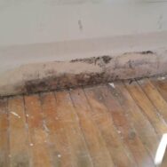 Mold Removal remediation in MIA