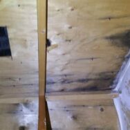 Oakville mold Removal remediation