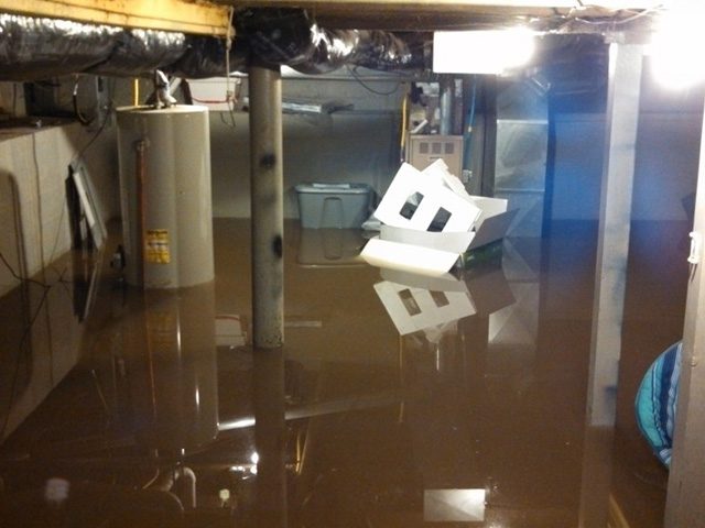 Flood Restoration services in Newmarket