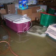 Flood restoration services in North York