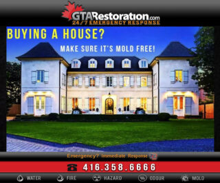 REAL ESTATE TORONTO: Mold and Moisture Detection home inspection