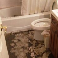 Sewage Cleaning Services Miami, Backup Cleanup Remediation