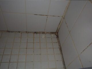 Shower Mold Removal Miami