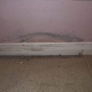 Wall Mold Removal Miami