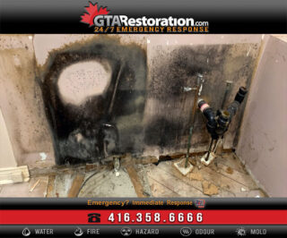 Wet Basements Causes Mold Contamination!